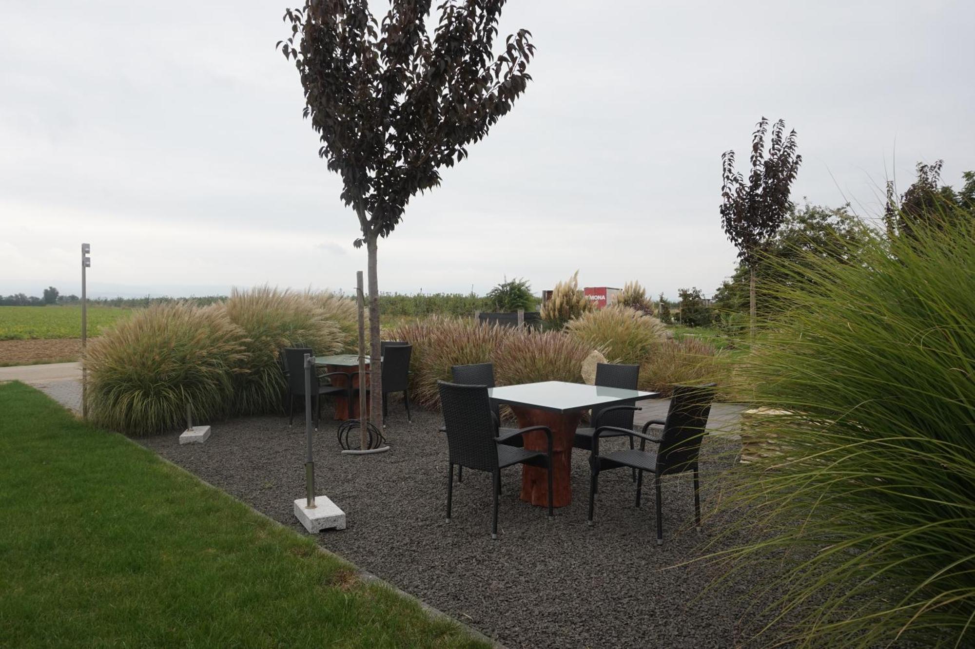 Wohnung 2 Im Kirschbluetenhof Ингелхайм ам Рейн Екстериор снимка