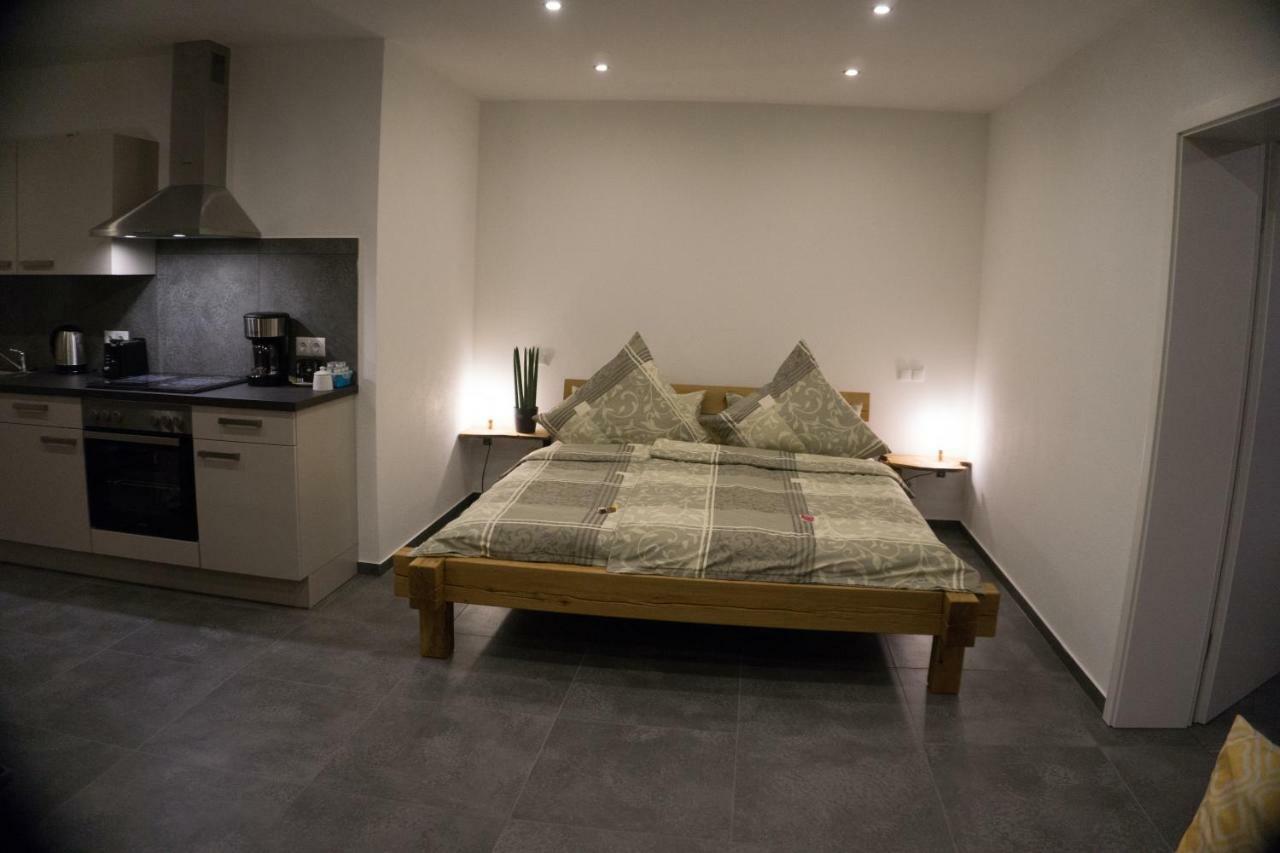 Wohnung 2 Im Kirschbluetenhof Ингелхайм ам Рейн Екстериор снимка